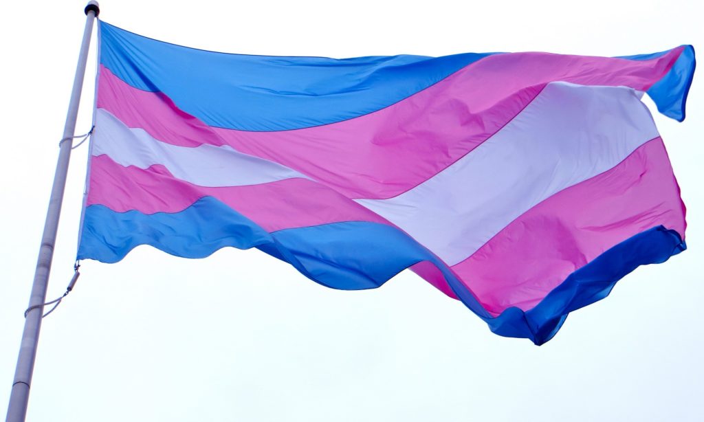 Bandiera trans